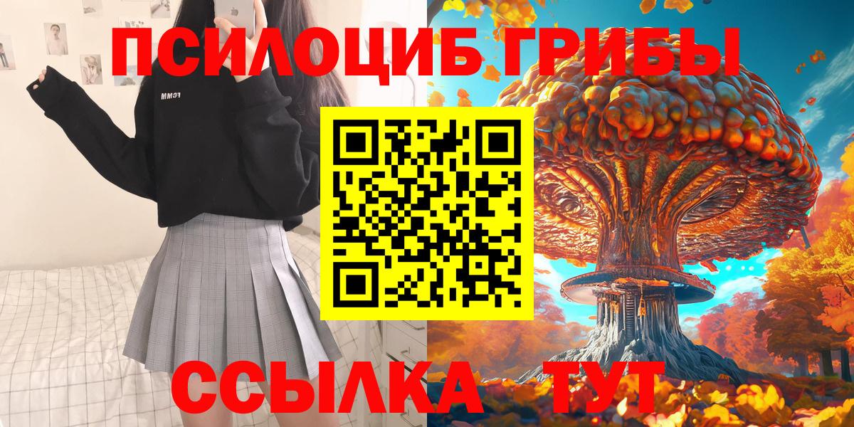 Псилоцибиновые грибы Psilocybine cubensis Обь